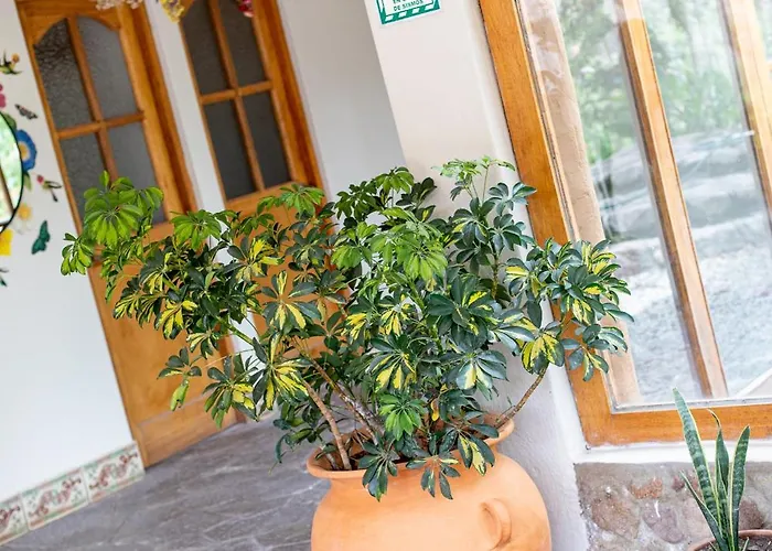 Tariq Sacred Valley Hotel 3*